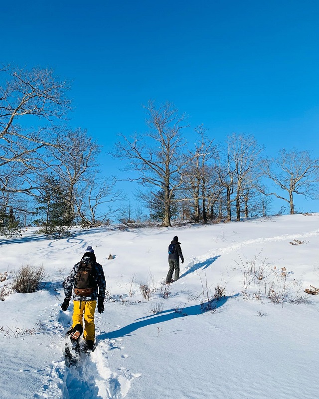 Ciel bleu, paysage de neige et deux randonneurs en raquettes